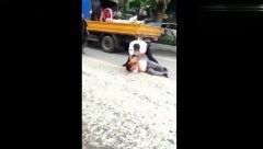 大佬打架吃瓜视频,吃瓜群众围观这场精彩视频大战  第2张