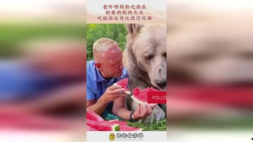 落落熊吃瓜,落落熊的瓜田奇遇记  第3张