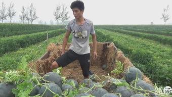 琪羽吃瓜  第1张