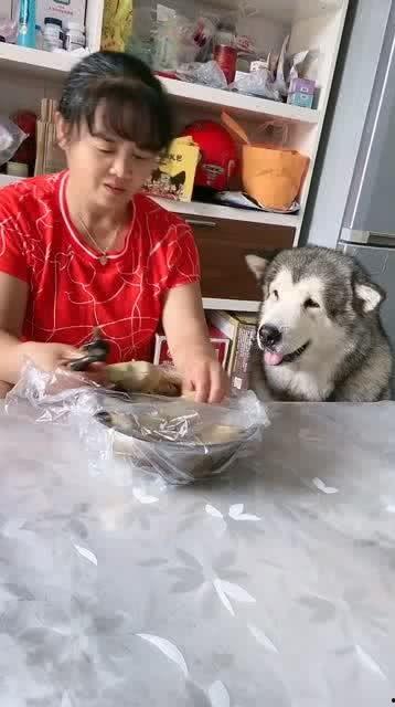 吃大瓜的洛洛,揭秘吃大瓜背后的故事与魅力  第2张