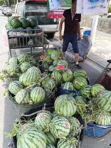 汝南吃瓜事件真相,揭秘背后真相与反思  第2张