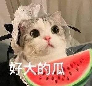 大家谨慎吃瓜,揭秘网络舆论背后的真相  第3张