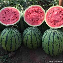 吃瓜的正确挑瓜方法