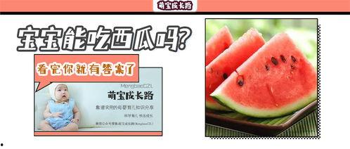 小孩子吃瓜菜单,缤纷瓜果，孩子的美味夏日菜单