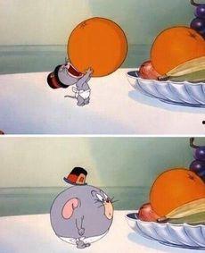 猫和老鼠小老鼠吃瓜,猫与老鼠的欢乐对决