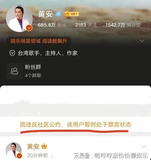 吃瓜兄妹辟谣视频播放,真相与流言的较量