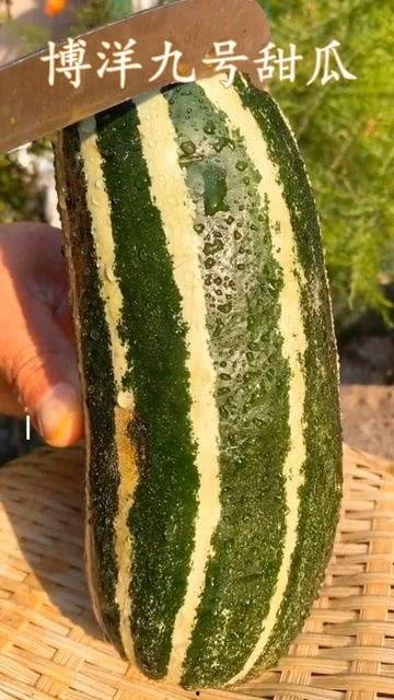 带你吃瓜山寨衣服,山寨衣服背后的文化现象与市场风云