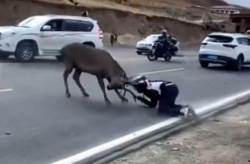 喜欢吃瓜的骑手,骑手乐享夏日清凉