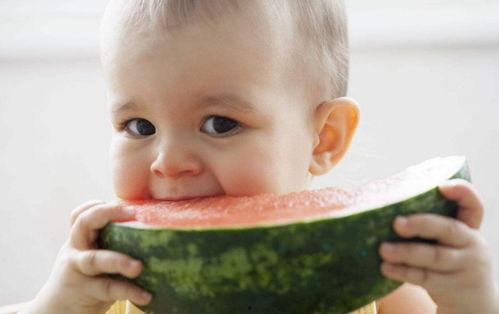 宝宝瓜吃冰,揭秘夏日清凉新宠