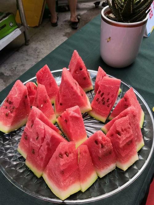 重庆吃瓜栏,揭秘山城美食江湖风云录