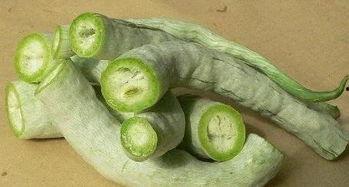 婴儿可以吃蛇瓜,蛇瓜营养食谱解析