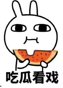 吃瓜二年,揭秘娱乐圈幕后风云