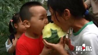 吃瓜重庆女子,揭秘网络热议背后的真相