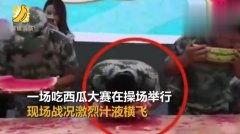 吃瓜就行的视频,吃瓜群众视角下的短视频盛宴