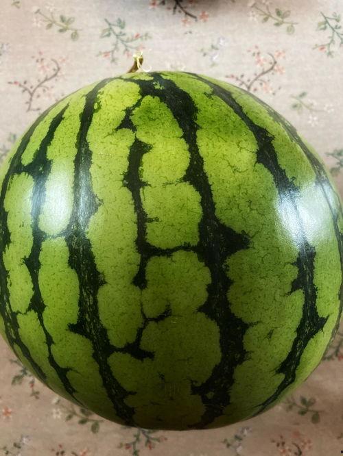 吃瓜现场表演,一场视觉与味觉的双重盛宴