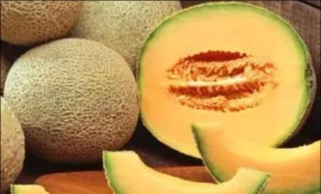 吃清甜哈密瓜,品味清甜哈密瓜的甜蜜时光