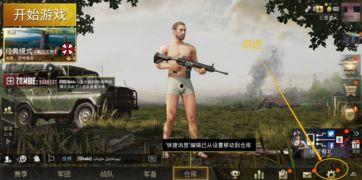 国际服吃鸡瓜,揭秘全球玩家热爱的战术竞技盛宴