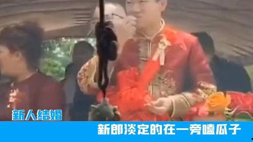 婚前新郎吃瓜,揭秘甜蜜婚礼背后的惊人真相
