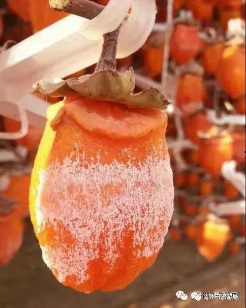 青州王府吃瓜,瓜香四溢，品味皇家盛宴