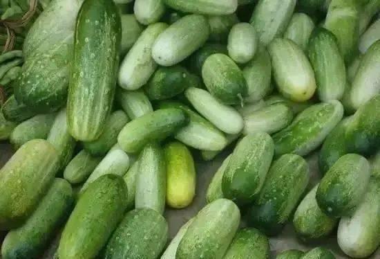 云南大姨吃瓜,一场别开生面的乡村食趣之旅