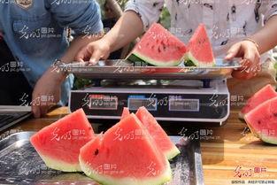 吃瓜的大哥山东,揭秘瓜界风云人物