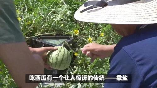 吃瓜和撒瓜,揭秘网络舆论场的风云变幻