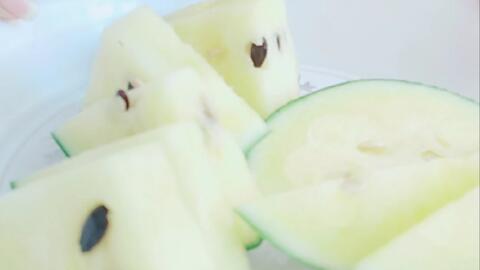 狗吃沙漠黄色瓜,狗儿巧食神秘黄色瓜果