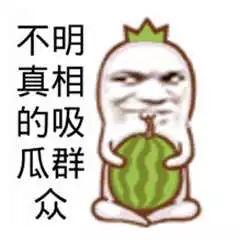 蒙面吃瓜群众代表,网络舆论场中的真实声音