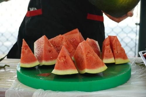 吃瓜技术大全,吃瓜技术大全全解析