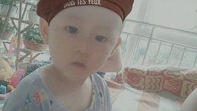 小林上朝吃瓜,意外吃瓜引发宫廷风波