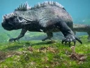 哥斯拉全员吃瓜,揭秘怪兽界的八卦风云