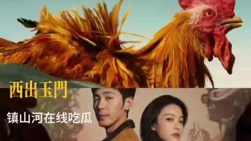 西出玉门小柳吃瓜,小柳的瓜田生活记