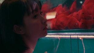 吃瓜少女阿花,吃瓜少女阿花的趣味生活点滴