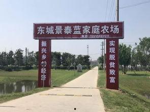 上界首吃瓜,揭秘上界首吃瓜背后的故事与影响 第3张 上界首吃瓜,揭秘上界首吃瓜背后的故事与影响 第3张