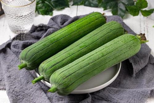 秋季不易吃瓜,秋季饮食新主张  第3张