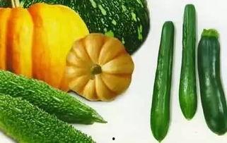 奥莉奥吃瓜,一场甜蜜与幽默的跨界盛宴  第2张