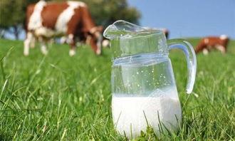 小奶咪吃瓜,揭秘娱乐圈那些不为人知的幕后故事  第3张