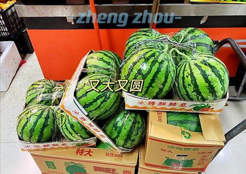 郑州工商吃瓜资源,揭秘吃瓜群众的维权之路