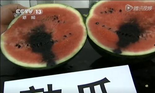 汶上吃瓜事件视频,一场网络热议的真相揭秘  第3张