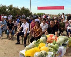 即墨总部吃瓜群众,吃瓜群众热议焦点  第2张