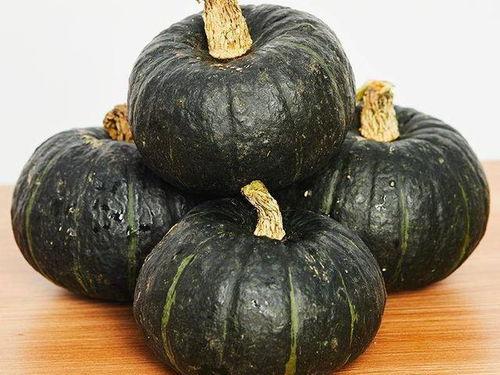 小孩吃贝贝瓜的视频