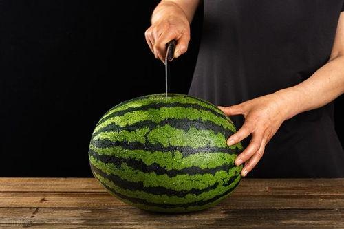 37个吃瓜技巧,轻松解锁夏日清凉新姿势 第2张 37个吃瓜技巧,轻松解锁夏日清凉新姿势 第2张