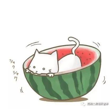 吃瓜头像大人图片高清  第2张