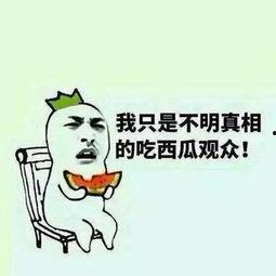 打酱油的群众吃瓜,揭秘街头热闻背后的故事