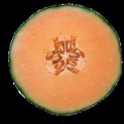 来月经可以吃晓蜜瓜吗