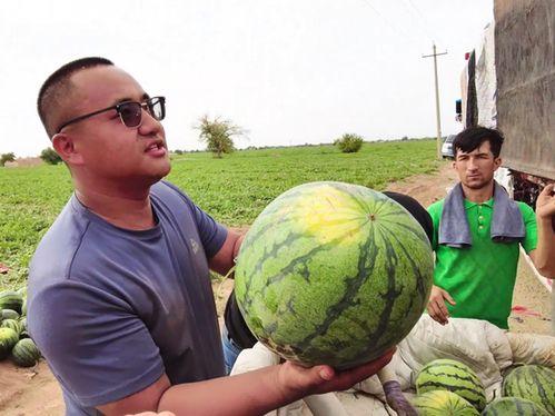 庄河吃瓜后续  第2张