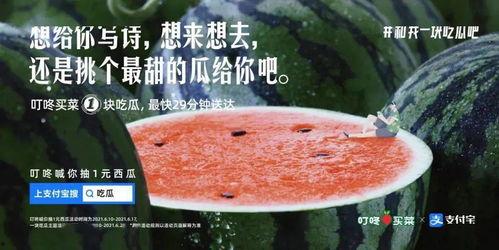 给大家吃瓜文案  第2张