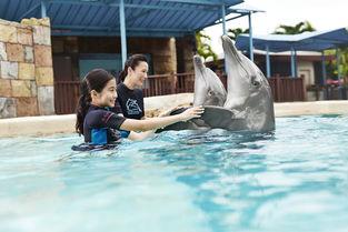 水上探险乐园吃瓜,夏日狂欢的清凉盛宴  第3张