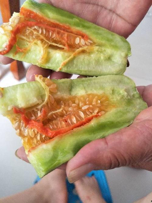 半橙吃瓜  第3张