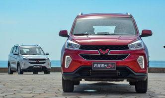 五菱demo吃瓜,一场跨界美食的狂欢盛宴  第3张